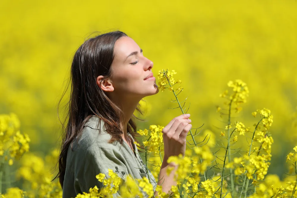 Profile,Of,A,Woman,Smelling,Flowers,In,A,Yellow,Field